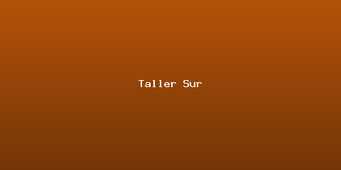 Taller Sur